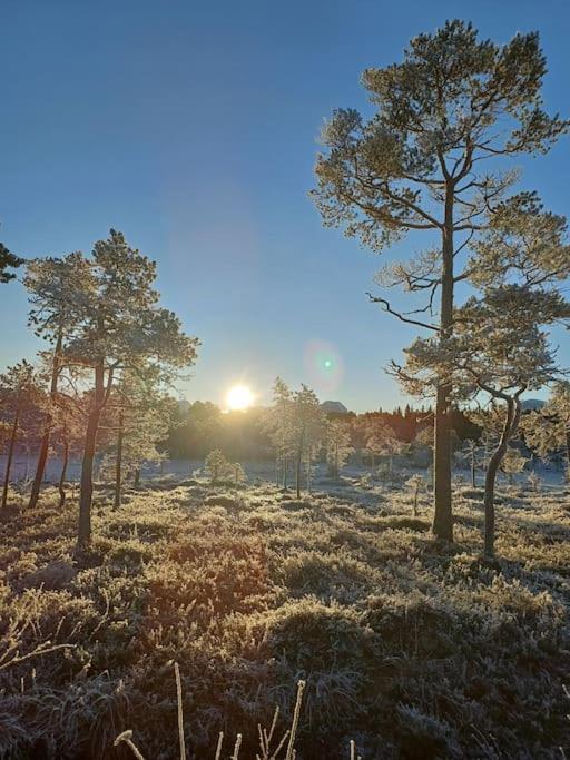 Koselig Og Moderne Leilighet, Meget Sentralt I Narvik Med Gratis Parkering! Zewnętrze zdjęcie