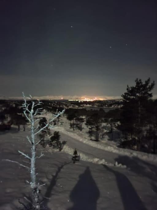 Koselig Og Moderne Leilighet, Meget Sentralt I Narvik Med Gratis Parkering! Zewnętrze zdjęcie