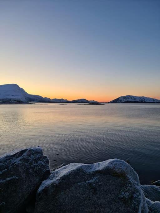Koselig Og Moderne Leilighet, Meget Sentralt I Narvik Med Gratis Parkering! Zewnętrze zdjęcie