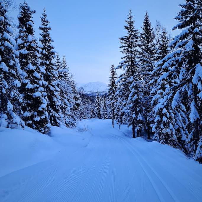 Koselig Og Moderne Leilighet, Meget Sentralt I Narvik Med Gratis Parkering! Zewnętrze zdjęcie